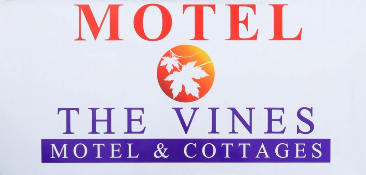 The Vines Motel & Cottages Stanthorpe Dış mekan fotoğraf