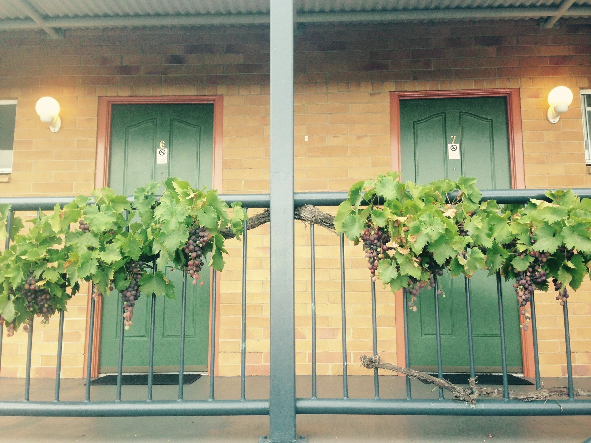 The Vines Motel & Cottages Stanthorpe Dış mekan fotoğraf